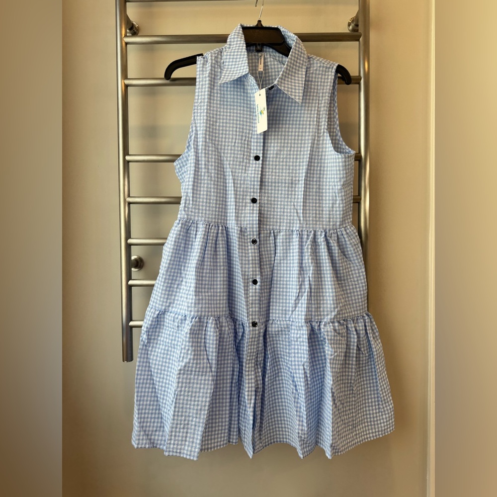 Blue Gingham Sleeveless Dress